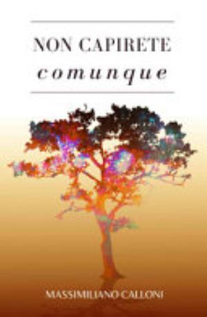 Non Capirete Comunque - Massimiliano Calloni2370319