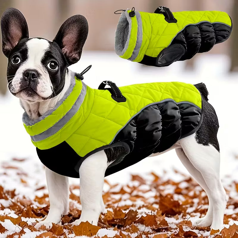 Cappotto Caldo Per Cani, Giacca Verde Fluorescente,