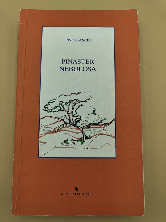 Pinaster Nebulosa - Pino Bianchi
