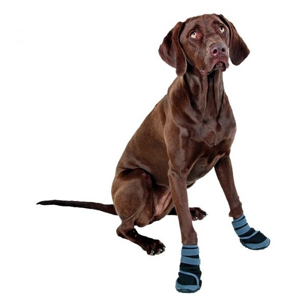 Scarpe protettive per cani «Active» XS nuovo