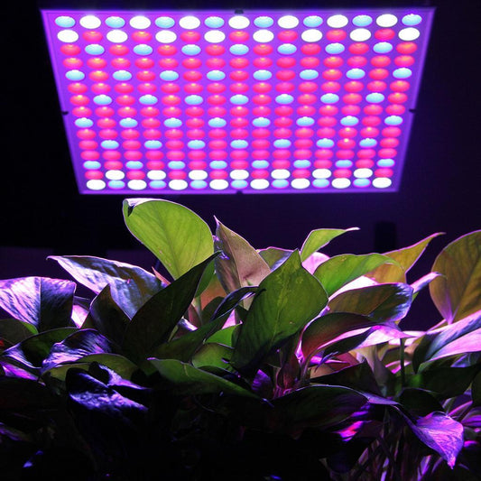 Excelvan 14 W 225 SMD LED Hydrokultur-Wachstumslicht und Beleuchtungspanel, für Blumen, Gemüse, Gewächshaus, Garten, rotes und blaues Zimmerpflanzenlicht + Aufhängeset