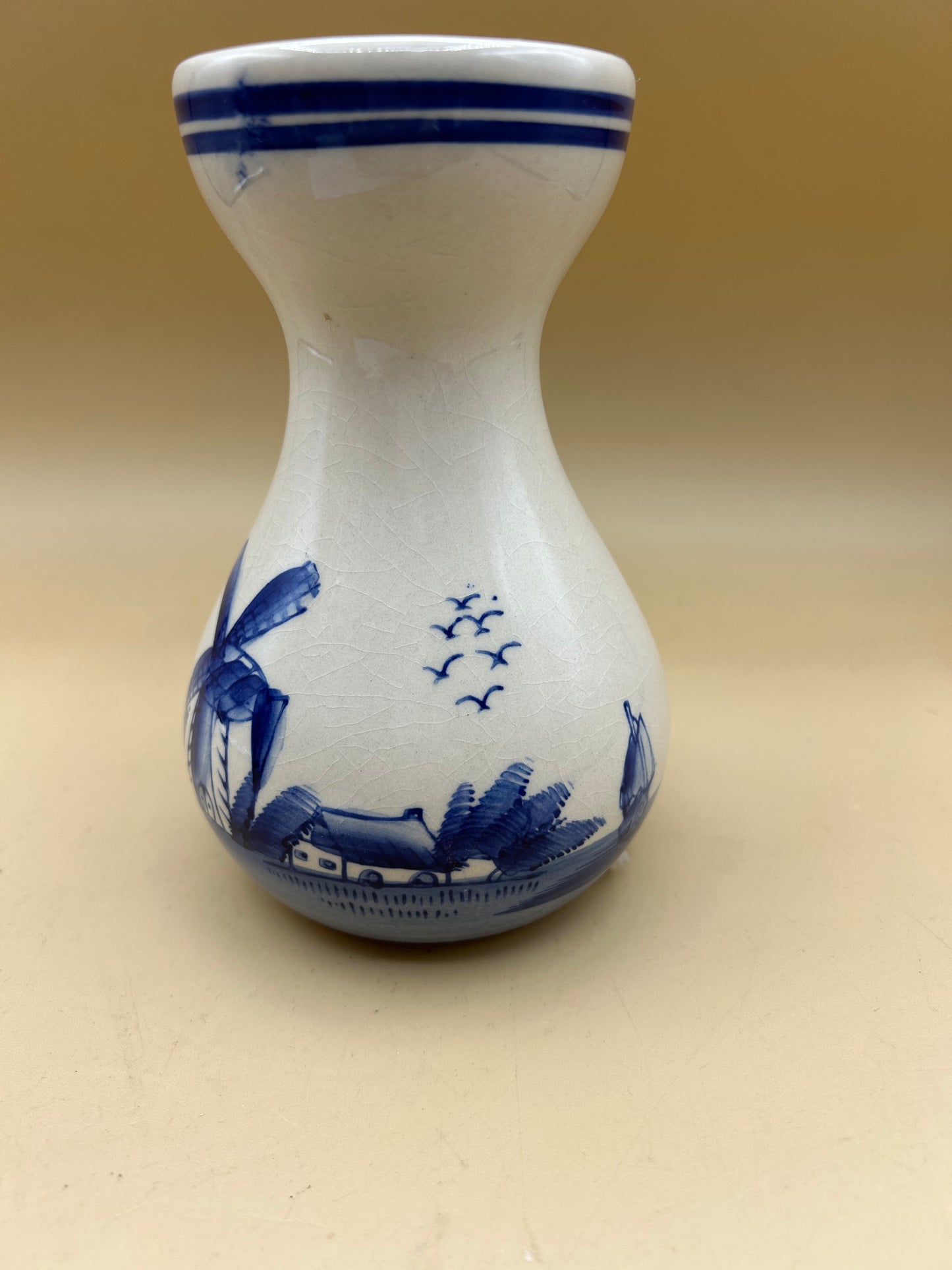 Vaso In ceramica dipinto a mano olandese ideale per idrocoltura