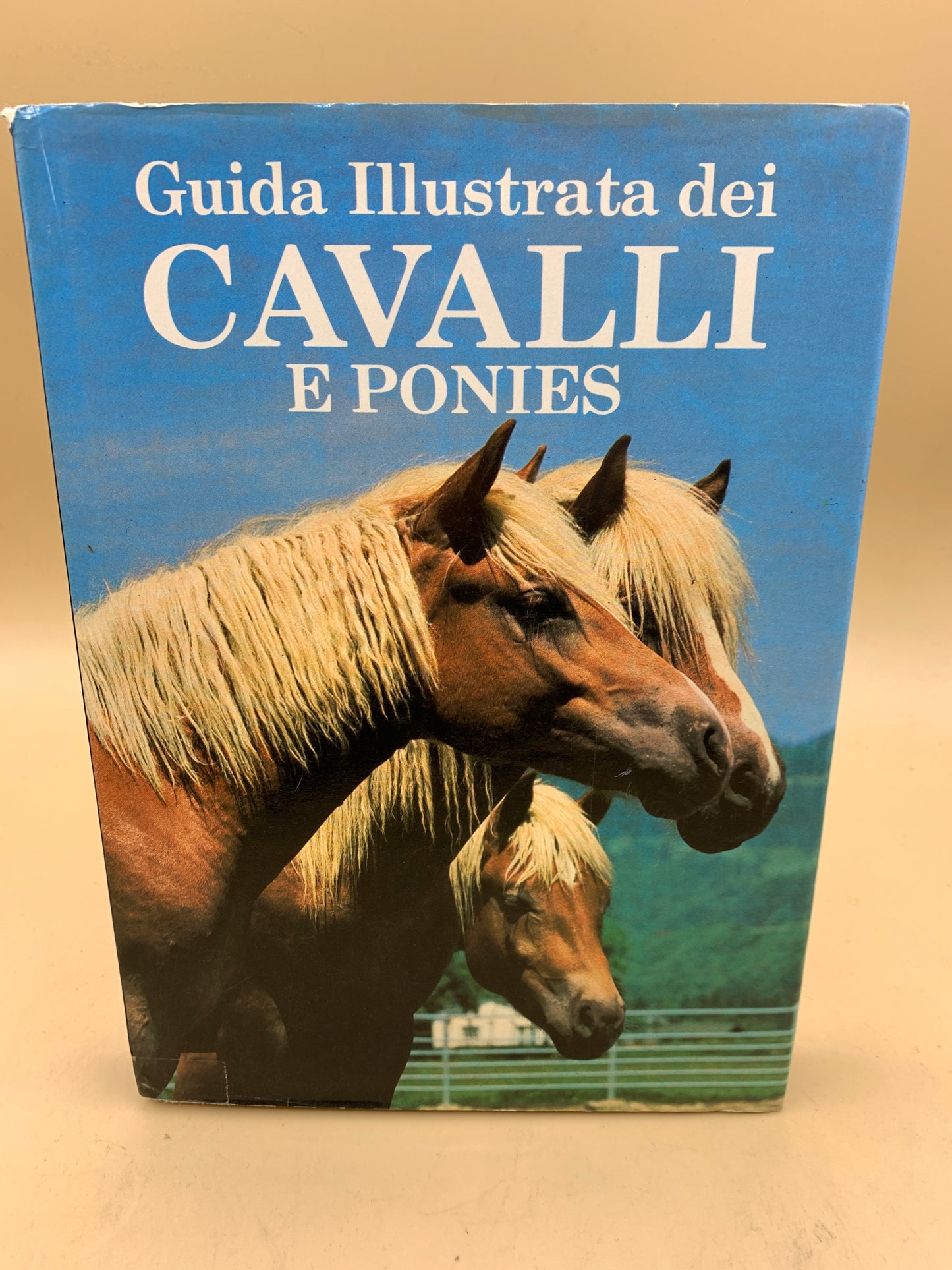 Guida illustrata dei cavalli e ponies