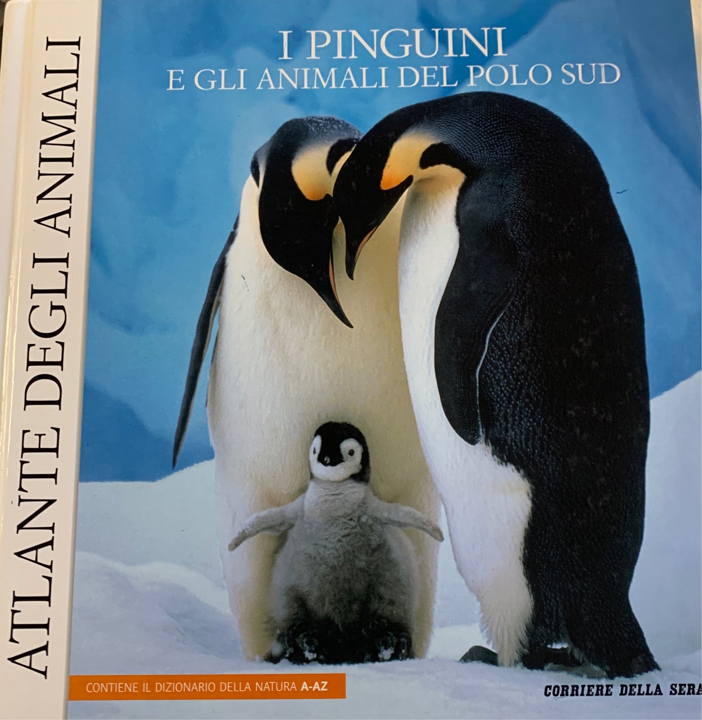 Penguins and animals of the South Pole