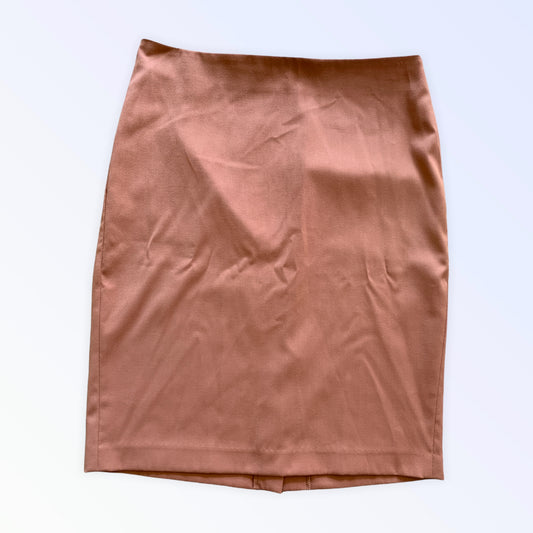 Sisley 38 XS sheath skirt in antique pink