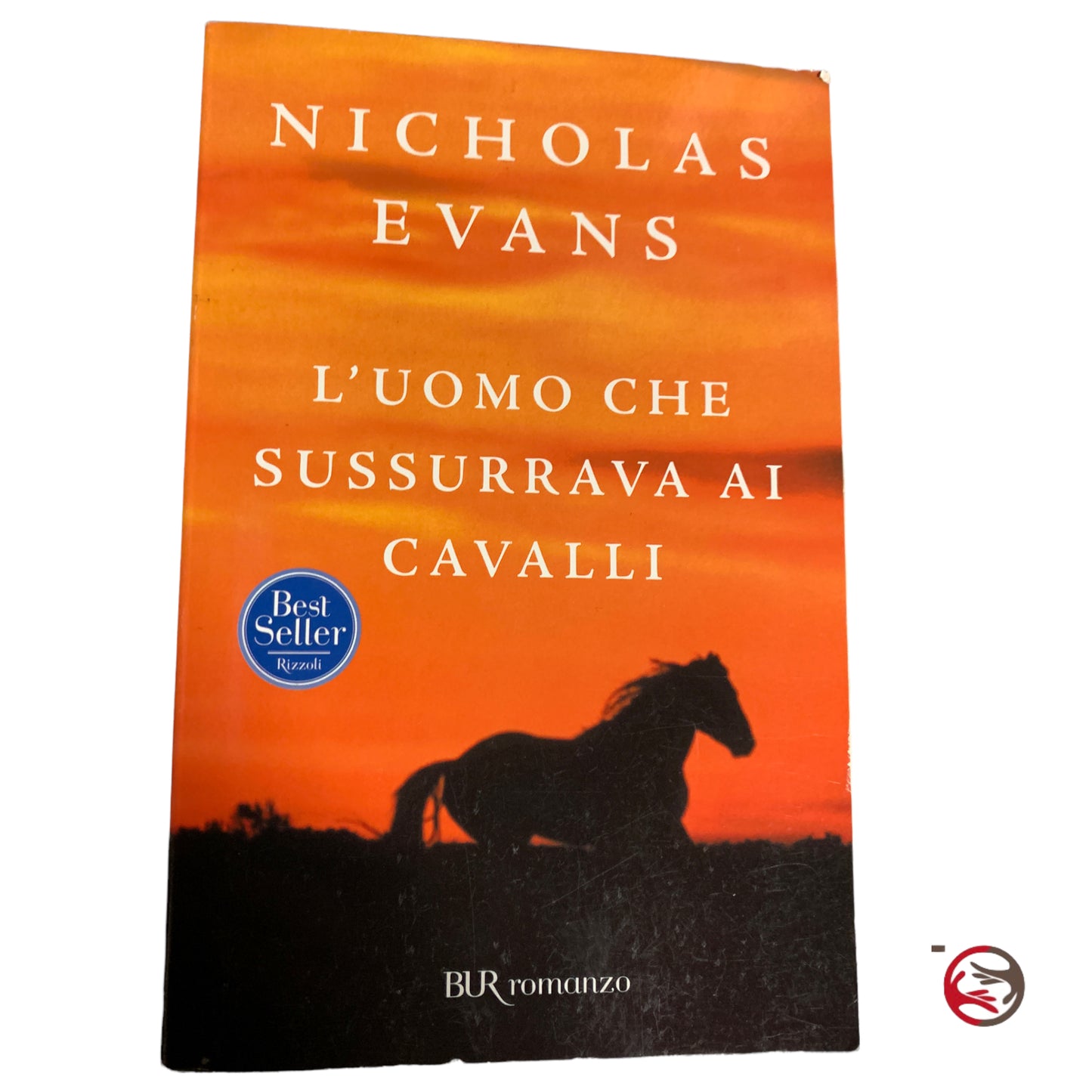 Nicholas Evans - L’uomo che sussurrava ai cavalli