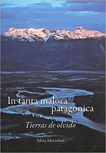 In so much Patagonian disgrace. Tierras de olvido - Silvia Metzeltin